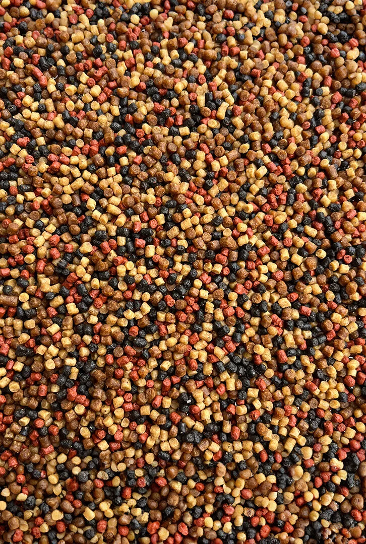 Pellet-Prestige-Spice-2mm-Feeder-Bait_[2346]_1200